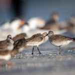 男人和女人的上床 q624juv